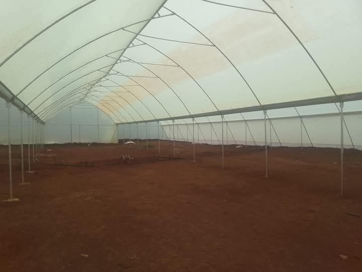 Greenhouse Construction - Image 3