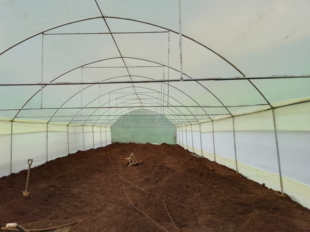 Greenhouse Construction - Image 4
